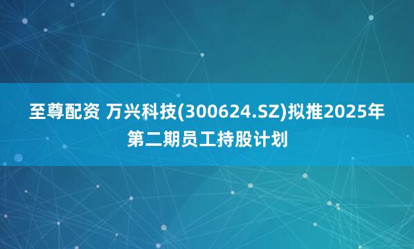 至尊配资 万兴科技(300624.SZ)拟推2025年第二期员工持股计划