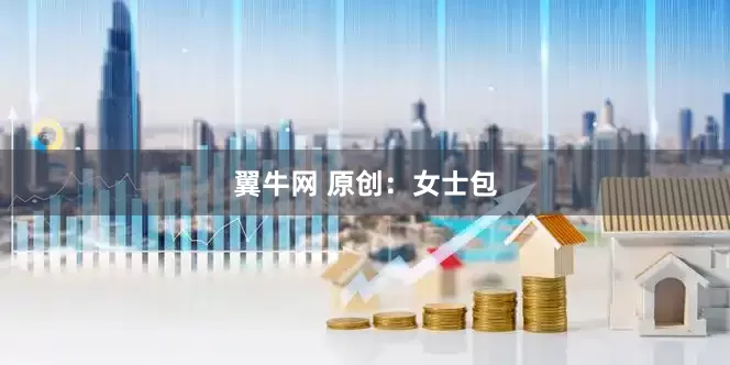 翼牛网 原创：女士包