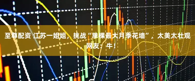 至尊配资 江苏一姐姐，挑战“单棵最大月季花墙”，太美太壮观，网友：牛！
