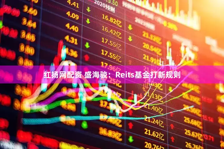 红扬网配资 盛海骏:Reits基金打新规则