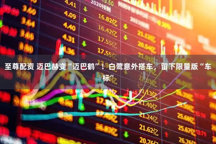 至尊配资 迈巴赫变“迈巴鹤”！白鹭意外搭车，留下限量版“车标”